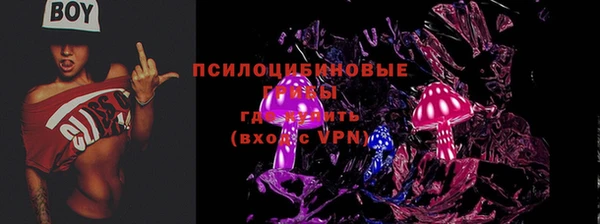PSILOCYBIN Волоколамск
