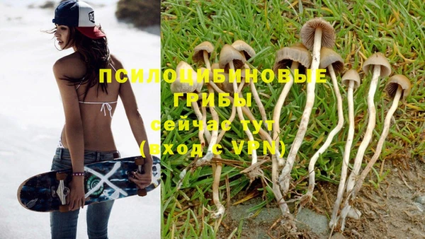 прущая мука Володарск