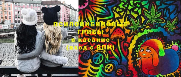 PSILOCYBIN Волоколамск