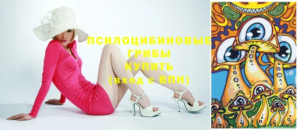 PSILOCYBIN Волоколамск