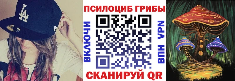 shop официальный сайт  Рыбинск  Псилоцибиновые грибы MAGIC MUSHROOMS 